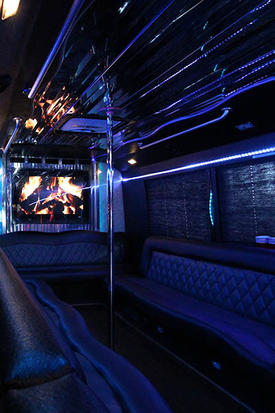 custom party bus orlando with new stereo