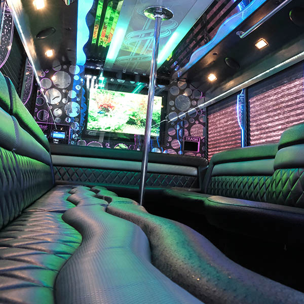 leather seating and dance pole on bus